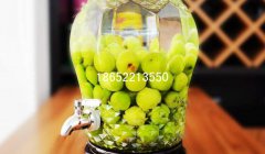 玻璃酵素瓶制作方法是什么？酵素的好處是什么？